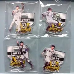 阪神タイガース 2025 セ・リーグ優勝記念くじアクリルスタンド 4種