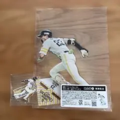 みぃ様 リクエスト 2点 まとめ商品