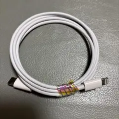 iPhone純正イヤホン付属品　ライトニングケーブルタイプC