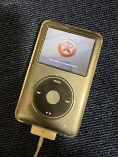iPod classic 160GB ⚠️ジャンク品⚠️ Buy Apple iPod classic 7th Generation Silver (160 GB) online | eBay