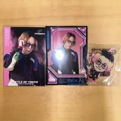 BOT 世界　フォトカ　ミニアクスタ