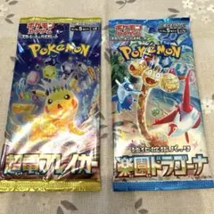 ポケモンカードゲーム 未開封パック2種