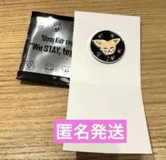 スキズ skzoo アイエン 展覧会ランダム ピンバッチ フォクシニー