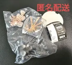 いきもの大図鑑ミニコレクション サンゴ礁に住む生き物 ハナミノカサゴ フィギュア