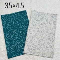 ランチョンマット 35×45 2枚セット　化学式　理科　男の子用　高学年　給食用