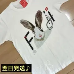 2026年最新】小沢健二 うさぎの人気アイテム - メルカリ