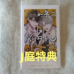 Backlight バックライト 特典 チラシ J庭59 ベルトゥーン Backlight バックライト 特典 チラシ J庭59 ベルトゥーン - メルカリ