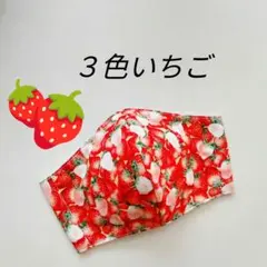 インナーマスク★３色いちご
