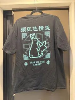 完売品』 FR2 Tシャツ ペイズリー 刺繍 フェード加工 グレー 【M 