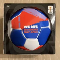 2006 FIFA World Cup サッカーボール 5号球 ポンプ付き - メルカリ