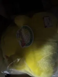 【新品未使用】ポケモン 30周年記念 おかえり!ピカチュウ1/1 ぬいぐるみ