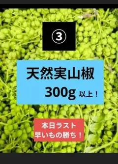 2026年最新】山椒の葉っぱの人気アイテム - メルカリ