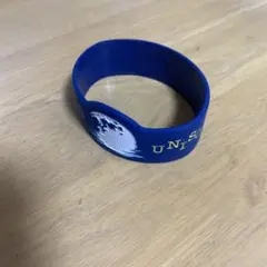 UNISON SQUARE GARDEN うるわしの前の晩ツアーラバーバンド