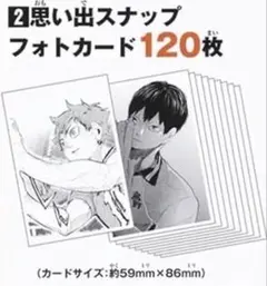 2026年最新】ハイキュー思い出スナップフォトカードの人気アイテム