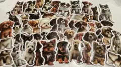 Item thumbnail for item 9bad0b02-b654-4c33-a958-81d0f3cd2ce0