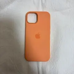 apple純正ケース iPhone15