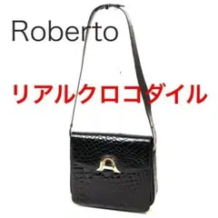 E2864-9◾️リアルクロコダイル ショルダーバッグ