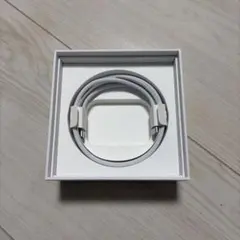 Apple純正USB Type-C充電ケーブル