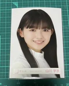 2025年最新】欅坂46の人気アイテム - メルカリ