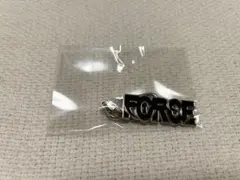 【新品未開封】StrayKids シーグリ2026 キーリング