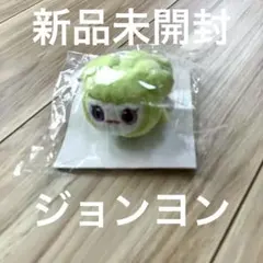 TWICE ジョンヨン ジョンブリー JEONGVELY ヘアピン 新品未開封 TWICE LOVELYS ジョンヨン ジョンブリーぬいぐるみ ヘアピン gigo