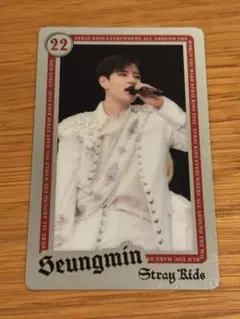 Stray Kids エコパ ライブフォトカード スンミン