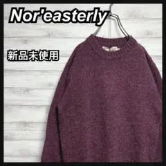 【新品未使用!!】nor'easterly セーター ハイネック bshop