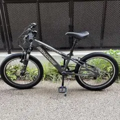 ⭐️湯呑み様⭐️⭕️大阪市近辺手渡し⭕️mongoose ROCKADILE 20インチのサムネイル
