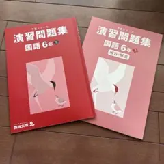 予習シリーズ　演習問題集 国語 6年上