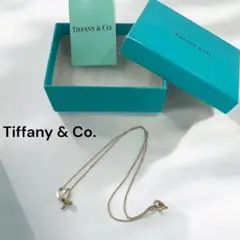 ティファニー（Tiffany)　パロマピカソ ラビング ハート ペンダント