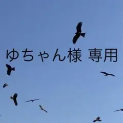 ゆちゃん様 専用
