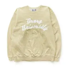古着 USA製 90S ヴィンテージ ドルーリー大学 カレッジ スウェット