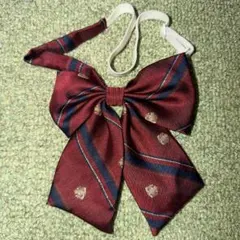 Item thumbnail for item f8d2413b-42c6-4f21-8134-3a56bd075017