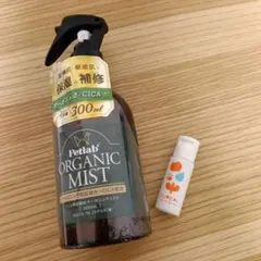 Item thumbnail for item 0210536e-119c-49a1-bc9c-bd3b17c0deae