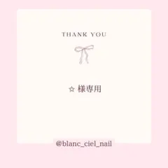 ✩ 様専用ページ　ネイルパーツ