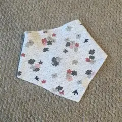 プチバトー　スタイ