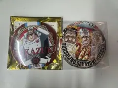 ぺいちゃん様専用