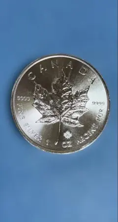 2021年 新品 メイプルリーフ銀貨 カナダ 1オンス 銀貨地銀 正規品