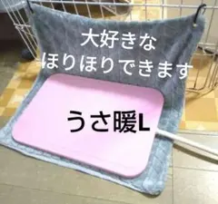 Item thumbnail for item 339574d1-5c78-4d39-b0c5-72dee9b8f0b3