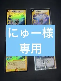 にゅー【即購入⭕️】様　専用です