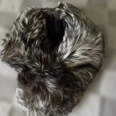 Item thumbnail for item fcb0aa4a-0140-42b2-bfe4-e1ec789fa673