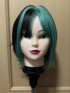 ウィッグ メッシュ