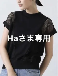 【タグ付き】 新品未使用 シアーレース フレンチカットソー