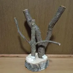 Item thumbnail for item 2adcc618-0a13-4858-9044-babf4b9a84a2