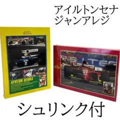 2026年最新】パズル セナ アイルトンの人気アイテム - メルカリ