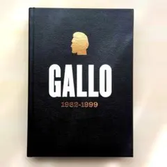 希少本,初版】VINCENT GALLO 1962-1999 - メルカリ