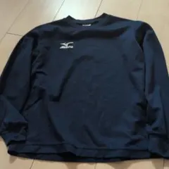 Item thumbnail for item 5f22e961-f3a7-47b0-bf0a-5a9eac30d8e2