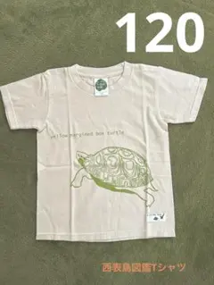 【新品未使用】西表島 図鑑Tシャツ イエローマージンドボックスタートル 120