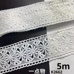 デザインレース5m