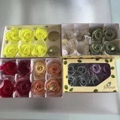 薔薇 ティエラ アンティークレッド プリザーブドフラワー 6輪入×2箱
